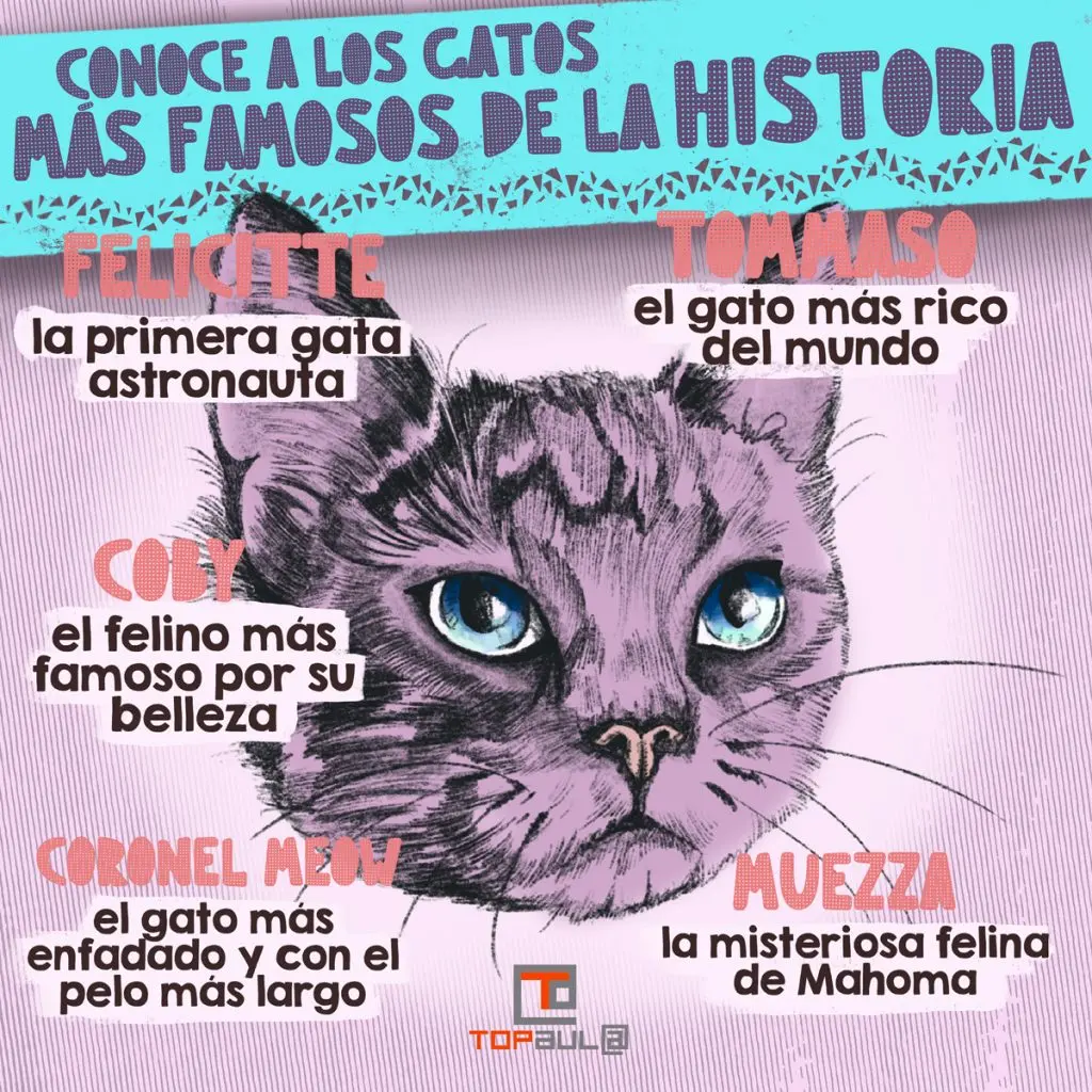 Infografía sobre los gatos más famosos de la historia