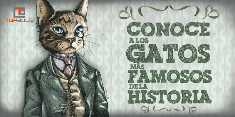 Conoce a los gatos más famosos de la historia